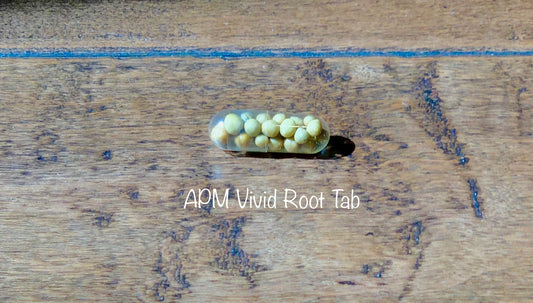 Vivid  Root Tab Fertilizer for Aquarium Aquatic Plants